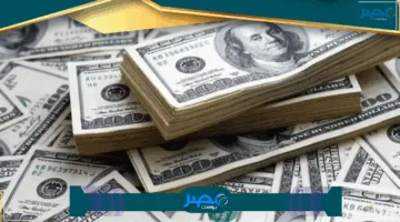 «تحديثات جديدة» البنك المركزي يسهّل عملية سحب الدولار للمزيد من الراحة